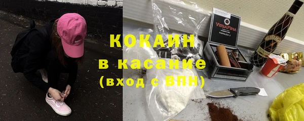 2c-b Пересвет