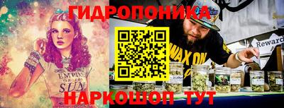 спайс Гатчина