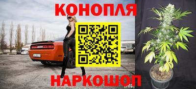 стафф Балаково