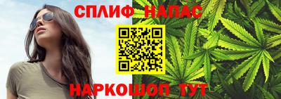 спайс Гатчина