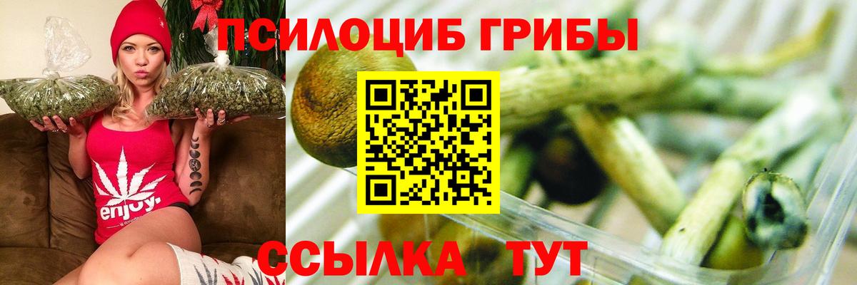 Галлюциногенные грибы GOLDEN TEACHER Жуковский