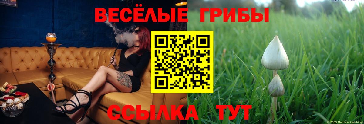 Жуковский  Галлюциногенные грибы Magic Shrooms  Вход с VPN 