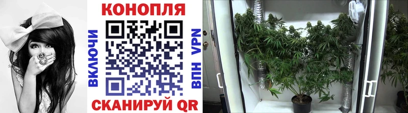 omg маркетплейс  Жуковский  Каннабис ГИДРОПОН 
